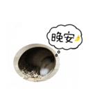 ドドちゃん（個別スタンプ：3）