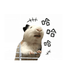 ドドちゃん（個別スタンプ：4）