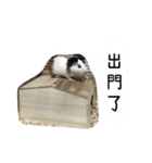 ドドちゃん（個別スタンプ：10）