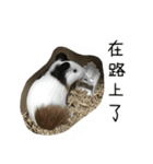 ドドちゃん（個別スタンプ：11）