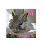 あにまるざ（個別スタンプ：18）