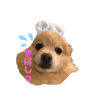 みずにとみーくんとすきっぷ（個別スタンプ：3）
