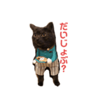 みずにとみーくんとすきっぷ（個別スタンプ：5）