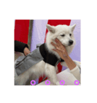 しょうのきもち（個別スタンプ：5）