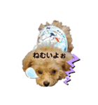 愛犬カロたん（個別スタンプ：6）