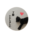 Latte＆Tino.（個別スタンプ：16）