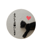 Latte＆Tino.（個別スタンプ：18）