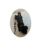 Latte＆Tino.（個別スタンプ：23）