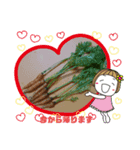野菜のご挨拶（個別スタンプ：1）