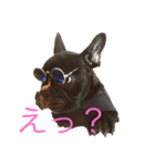 フレブル★ラスタんぷ（個別スタンプ：1）