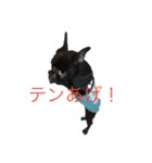 フレブル★ラスタんぷ（その2）（個別スタンプ：4）