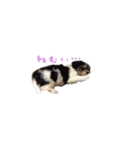 ぼく、うしわかまる（個別スタンプ：21）