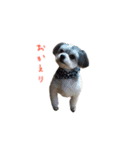 ぼく、うしわかまる（個別スタンプ：34）