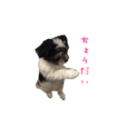 ぼく、うしわかまる（個別スタンプ：35）