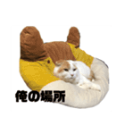 前ちゃんスタンプ1（個別スタンプ：11）