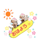 Twins 奏＆颯（個別スタンプ：2）