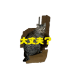 流ちゃんず①（個別スタンプ：3）