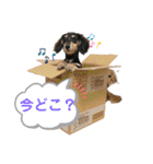 ぽて＆うにのおキャワな日常（個別スタンプ：2）