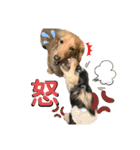 ぽて＆うにのおキャワな日常（個別スタンプ：3）