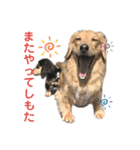 ぽて＆うにのおキャワな日常（個別スタンプ：4）