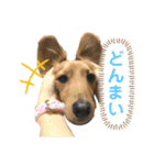 ぽて＆うにのおキャワな日常（個別スタンプ：9）