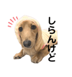 ぽて＆うにのおキャワな日常（個別スタンプ：12）