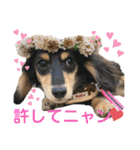 ぽて＆うにのおキャワな日常（個別スタンプ：14）