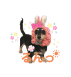 ぽて＆うにのおキャワな日常（個別スタンプ：15）