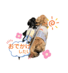 ぽて＆うにのおキャワな日常（個別スタンプ：17）