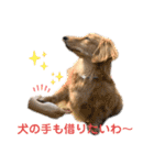 ぽて＆うにのおキャワな日常（個別スタンプ：21）