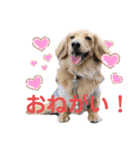 ぽて＆うにのおキャワな日常（個別スタンプ：23）