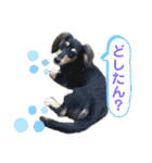 ぽて＆うにのおキャワな日常（個別スタンプ：27）