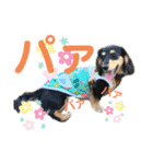 ぽて＆うにのおキャワな日常（個別スタンプ：32）
