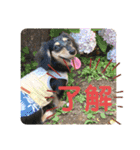 ぽて＆うにのおキャワな日常（個別スタンプ：35）