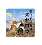 ぽて＆うにのおキャワな日常（個別スタンプ：36）