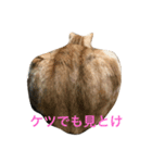 うーにゃんとごっつ①（個別スタンプ：2）