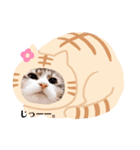 Aruちゃんのニャンコスタンプ♡（個別スタンプ：3）
