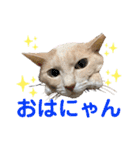 第一夫人 甘えんぼの彼女（個別スタンプ：1）