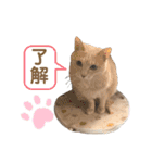 第一夫人 甘えんぼの彼女（個別スタンプ：6）