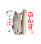 第一夫人 甘えんぼの彼女（個別スタンプ：22）