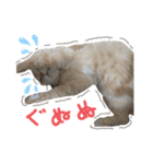 第一夫人 甘えんぼの彼女（個別スタンプ：25）