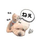 もこちゃんとおともだち（個別スタンプ：1）
