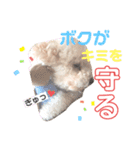 もこちゃんとおともだち（個別スタンプ：4）