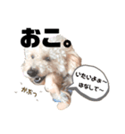 もこちゃんとおともだち（個別スタンプ：5）
