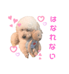 もこちゃんとおともだち（個別スタンプ：7）