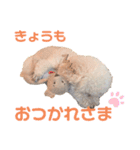 もこちゃんとおともだち（個別スタンプ：8）