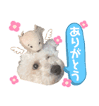 もこちゃんとおともだち（個別スタンプ：15）