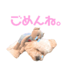 もこちゃんとおともだち（個別スタンプ：16）