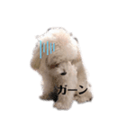 ロイ丸の日常（個別スタンプ：6）