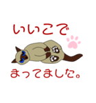 シーザーの1日（個別スタンプ：4）